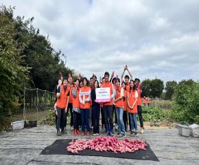 한국체육개발주(주) 직접 수확한 고구마 ..